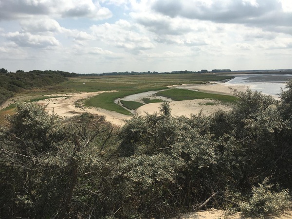 Het Zwin